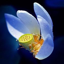 id Software推出《毁灭战士1+2》全新增强版